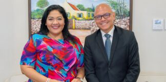 Minister Maduro a reuni cu Andy Lee cu ta Aruba su Staatsraad nobo na Raad van State di reino Hulandes