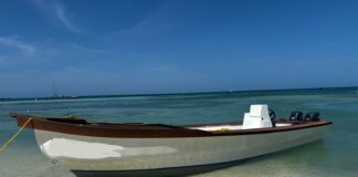 Detencion di boto local