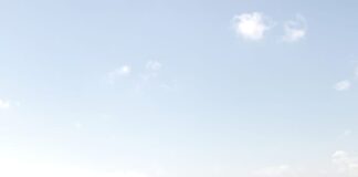 Wardacosta ta duna asistencia na personanan cu boto a bolter riba lama