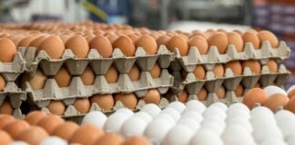 Minister Geoffrey Wever ta duna empuhe pa produccion di webo comercial