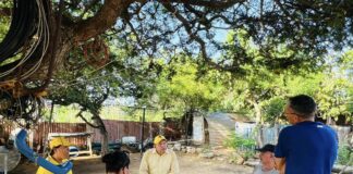 Evelyn Wever-Croes, lider di MEP: Mocion di desconfiansa contra Minister Endy Croes ta inhusto