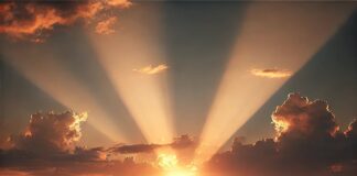 Papia drechi y ricibi cosnan bon