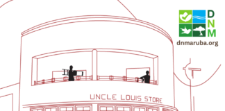 Directie Natuur en Milieu (DNM) cera pa dia di limpiesa anual di e edificio