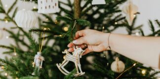 Nochi Navideño na biblioteca