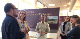 Cosecha di MANA di 2024 y su plantacion pa 2025