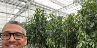 Parlamentario Alvin Molina (MEP): Agricultura, un pilar economico nobo