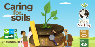 Dia Mundial di Suelo 2024. Su cuido ta importante. Midi, monitor y maneha ta parti di cuida nos suelo