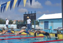 Federacion Acuatico di Aruba: Liderazgo nobo, visionnobo y un comienso di aña exitoso