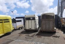 Cabaynan di Curacao den preparacion pa nan viahe pa Aruba