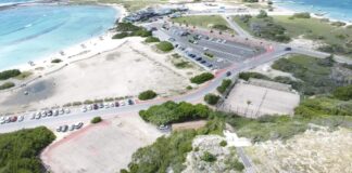 Fase 3 di Proyecto Baby Beach ta bay cuminsa