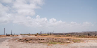 Proyecto “ Sero Colorado Memorial” ta bai cuminsa pronto