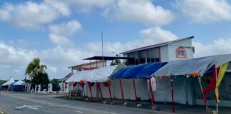 ELMAR: Bo tin tent riba ruta di carnaval? Si e lona bula y alcansa liña di coriente, e consecuencia por ta grave