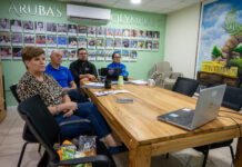 A reuni cu Comite Olimpico di Panama den cuadro di plataforma digital “COP Online”