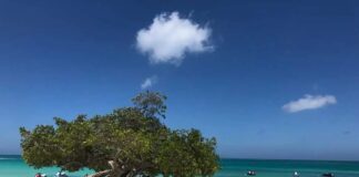 Editorial : Rijkswet RAFT: Un desbentaha pa Aruba, un logro pa Evelyn Wever-Croes