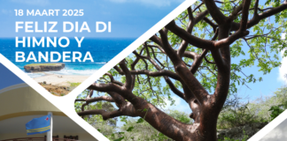 Directie Natuur en Milieu lo ta cera dialuna 17 y diamars 18 di maart en conexion cu Dia Nacional Himno y Bandera 2025