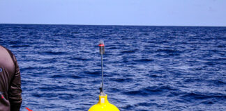 A instala e prome dos boei pa piscado den awanan di Aruba: Santa Rosa ta pidi cooperacion di tur piscado y usado di lama