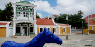 2 SIMAN; 12 DIA; 1 EXPERENCIA INOLVIDABEL!: E Documentary Bootcamp ta bolbe!