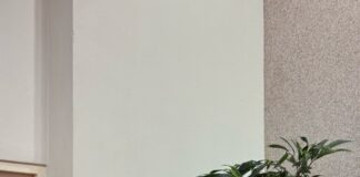 Prome Minister Evelyn Wever-Croes ta anuncia retiro di Gabinete Wever-Croes II: “Masha danki pa e oportunidad di por a sirbi Aruba como bo Prome Minister y cu Dios bendiciona cada ciudadano di nos pais”