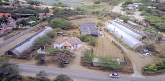 Dia di Tera 2025; Nos poder, nos tera