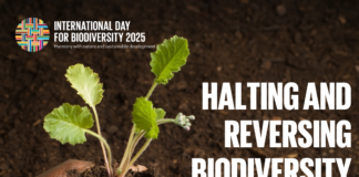 Diahuebs ta dia internacional di diversidad biologico