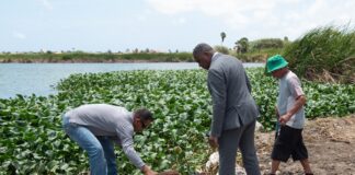 E negligencia di hopi aña no por keda sin consecuencia: Minister Dowers a haci un bishita di trabao na AWSS na Bubali Plas