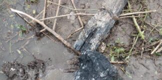 Aruba Wastewater Sustainable Solutions N.V. (AWSS) a entrega keho na Polis pa sabotahe