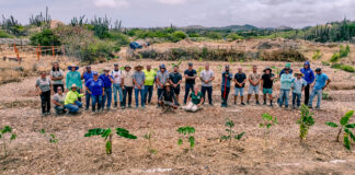 Santa Rosa a finalisa su proyecto di Syntropic Agro forestry