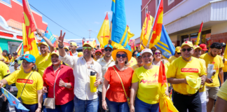 Duna Cesar loke ta di Cesar: Maneho di Gabinete Wever Croes te awe ta cosechando su frutonan.