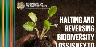 Aruba Ta Celebra Dia Internacional di Biodiversidad 2025: “ta den Harmonia cu Naturalesa y Desaroyo Sostenibel” ta e mensahe