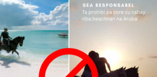 DNM ta enfatisa cu e ley prohibicion pa core cabay riba beachnan di Aruba ta vigente