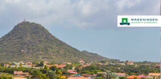 Expertonan di Wageningen ta presenta un vision inclusivo di naturalesa pa Aruba 2050