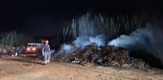 Candela grandi di sushi acumula a menasa casnan na Sero Janchi y Montaña