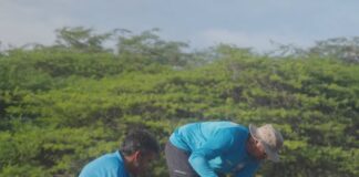 Aruba su storia di restauracion di naturalesa riba pantaya na United Nations Ocean Conference: Documentario di ‘Turning the Tide’ ta estrena na conferencia mundial di Unionnan Uni na Francia marcando un momento di orguyo pa Aruba.
