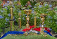 Brazil Taekwondo Stichting ta organisa Aracari Taekwondo Cup