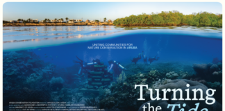 ‘Turning the Tide’ ta debuta riba Youtube pa Dia Mundial di Ocean