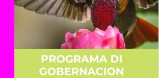 Gobierno AVP-Futuro a traiciona nan propio acuerdo: Di ‘opensolicitatie’ pa ‘parachutte’