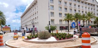 Trabao na rotonde simbolico di e plan nacional di reforestacion ta sigui cu sosten di ZARA