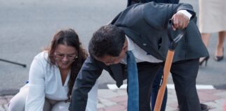 Reforestacion na Aruba: Plan pa planta 100.000 mata rond Aruba pa restaura naturalesa, proteha contra calor y embeyece nos isla