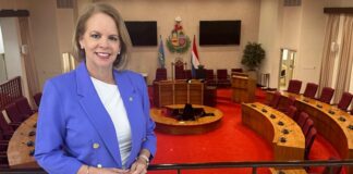 Opinion personal di Parlamentario Evelyn Wever-Croes: E minister nobo y esun tras di cortina