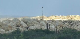 Otmar Oduber di PPA: “Ser’i Teishi, Parkietenbos, Bubaliplas ta un ‘time bomb’ cu pronto lo explota!”