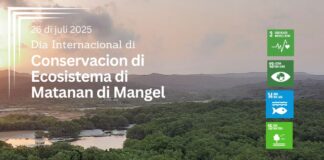 E origen di Dia Internacional pa Conservacion di Ecosistema di Matanan di Mangel.