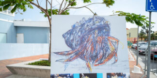 Minister Wever: Pronto lo por admira “Soldachi di Caribe” riba Plaza Comercio