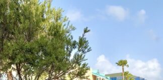 Parlamentario Endy Croes: Serafina den Jet Gerlien Croes: Den apenas 120 dia di trabou e tin 30 dia den exterior