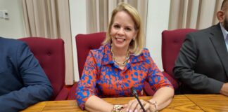 Parlamentario Evelyn Wever-Croes: Ley pa hisa salario minimo: Gobernando desde oposicion