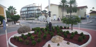 Reforestacion ta duna significado nobo na patrimonio historico: Rotonde ta resulta di ta e mas bieu di Aruba