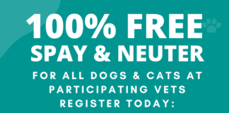 Stimami Sterilisami ta anuncia sterilisacion gratis pa tur cacho y pushi, cuminsando 20 di augustus 2025