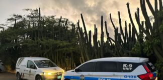 Dos detencion, arma di candela y droga confisca den Caya Luna