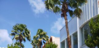 Caya Betico Croes bashi despues di evento di “Ban Caya Bek”