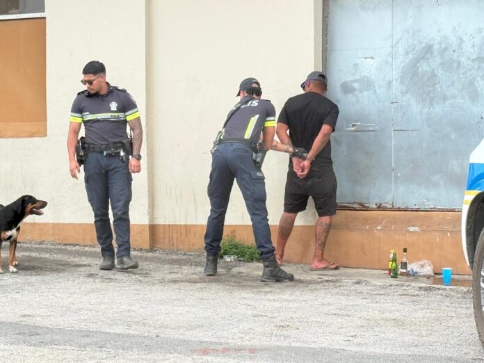 434fa0cd-1a0b-4ef7-b544-d481facf72a6