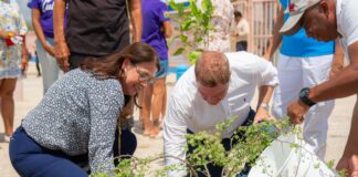 A sembra speransa na Centro di Bario Brazil